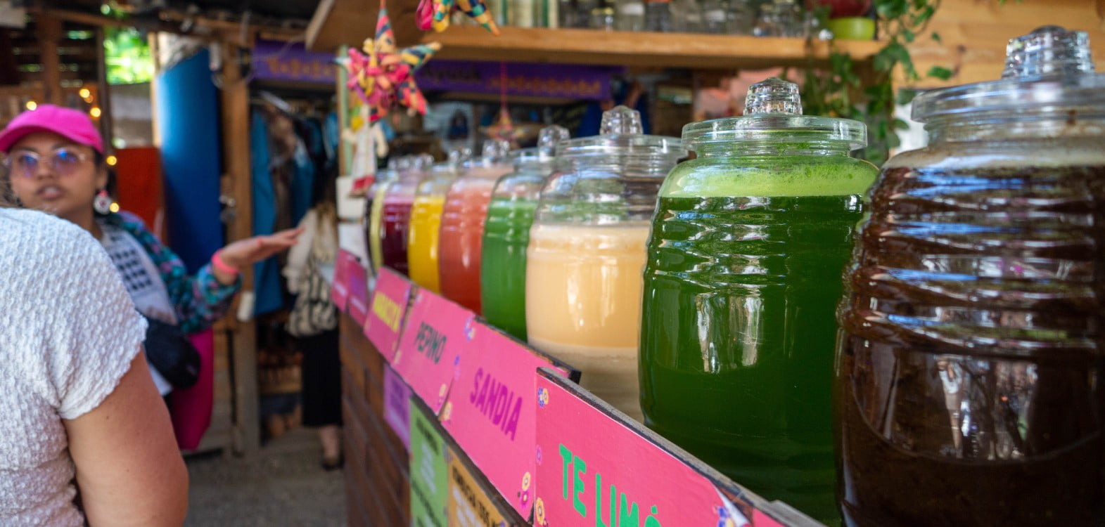 OSF Banner Tours Vegan 3