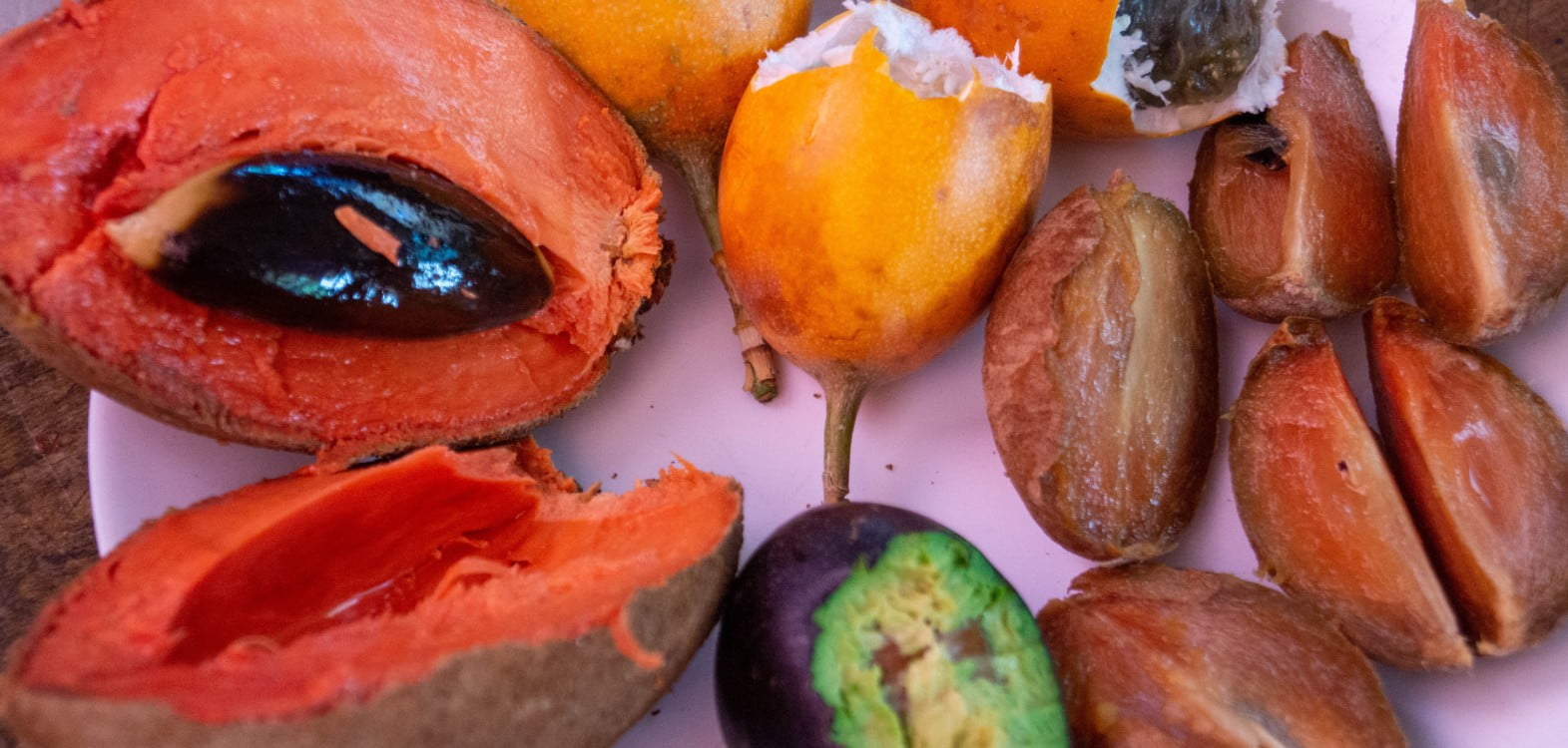 OSF Banner Tours Vegan 6